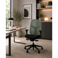 Fauteuil Vérus Herman Miller triflex jade light asssie noire havana
